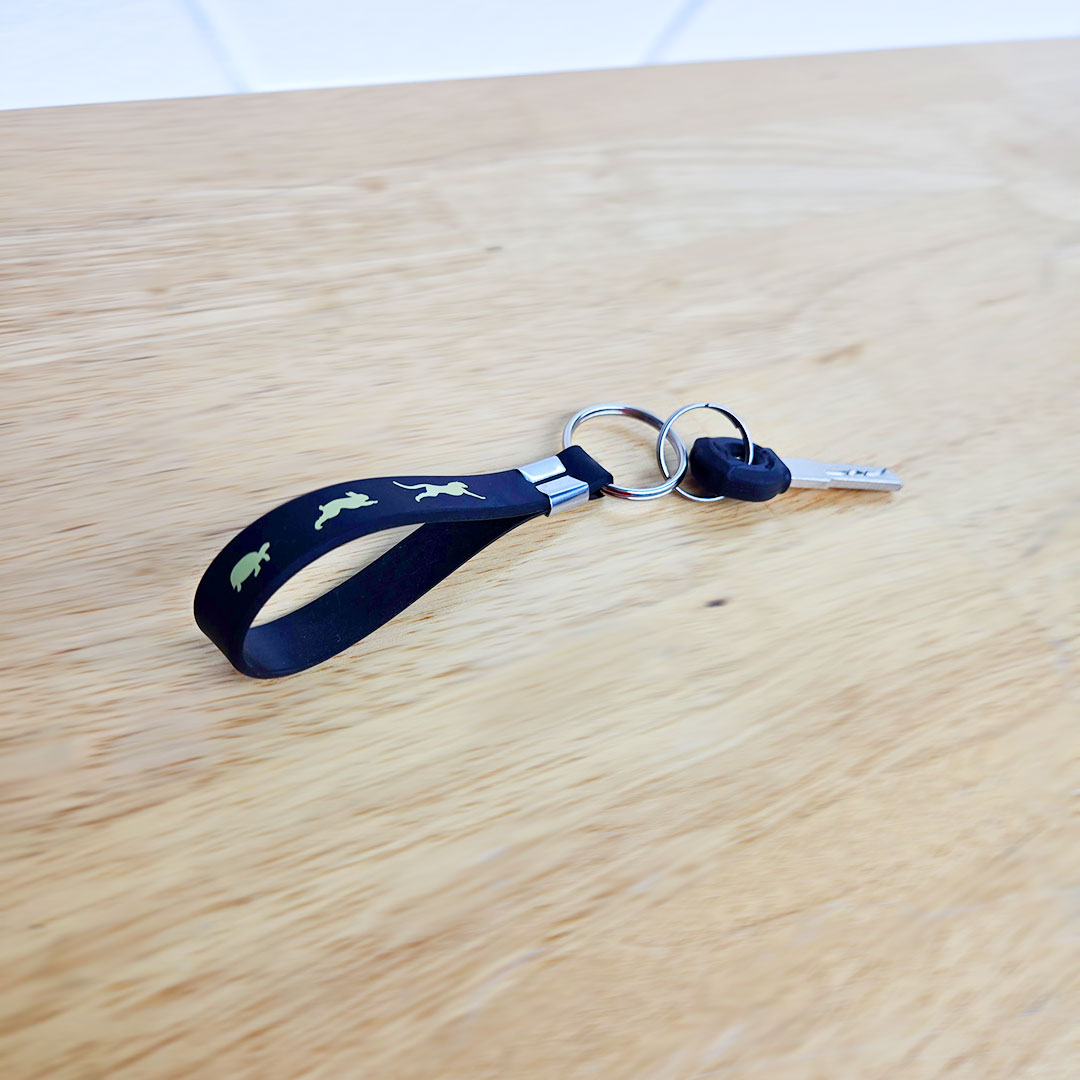 Darwin EV Keychain